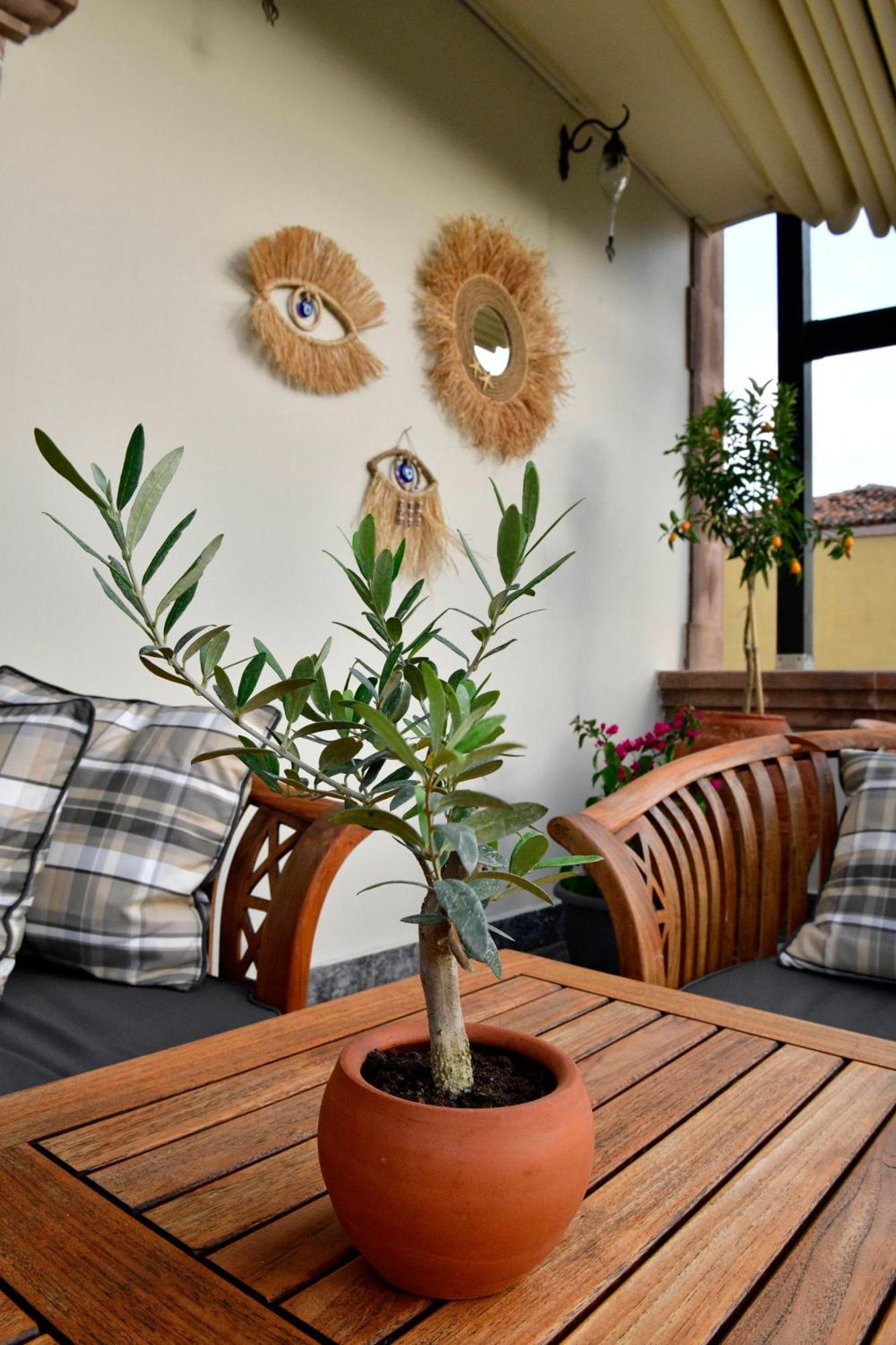Siyah Lale Cunda 1841 (Adults Only) Hotel Ayvalı Eksteriør billede