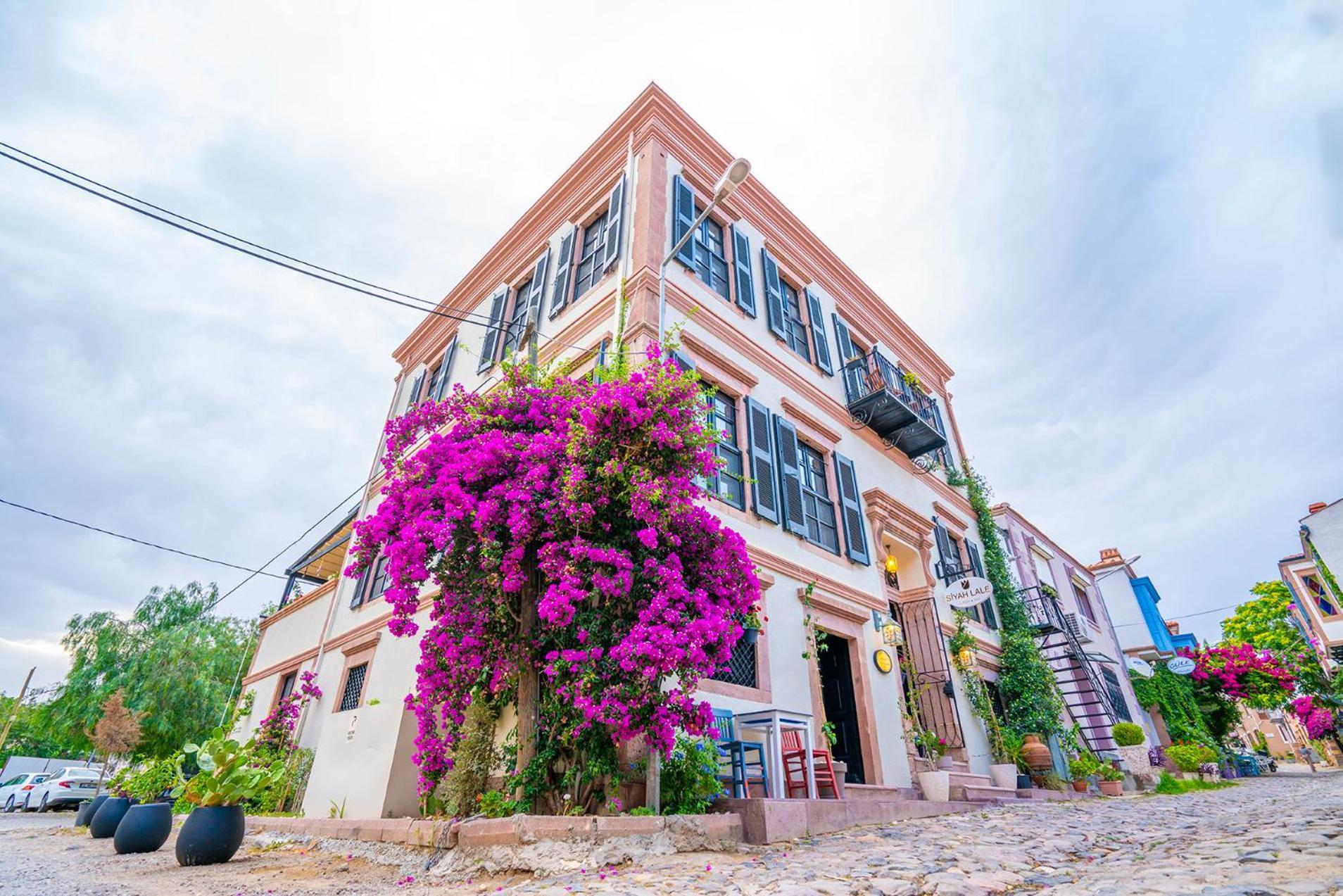Siyah Lale Cunda 1841 (Adults Only) Hotel Ayvalı Eksteriør billede