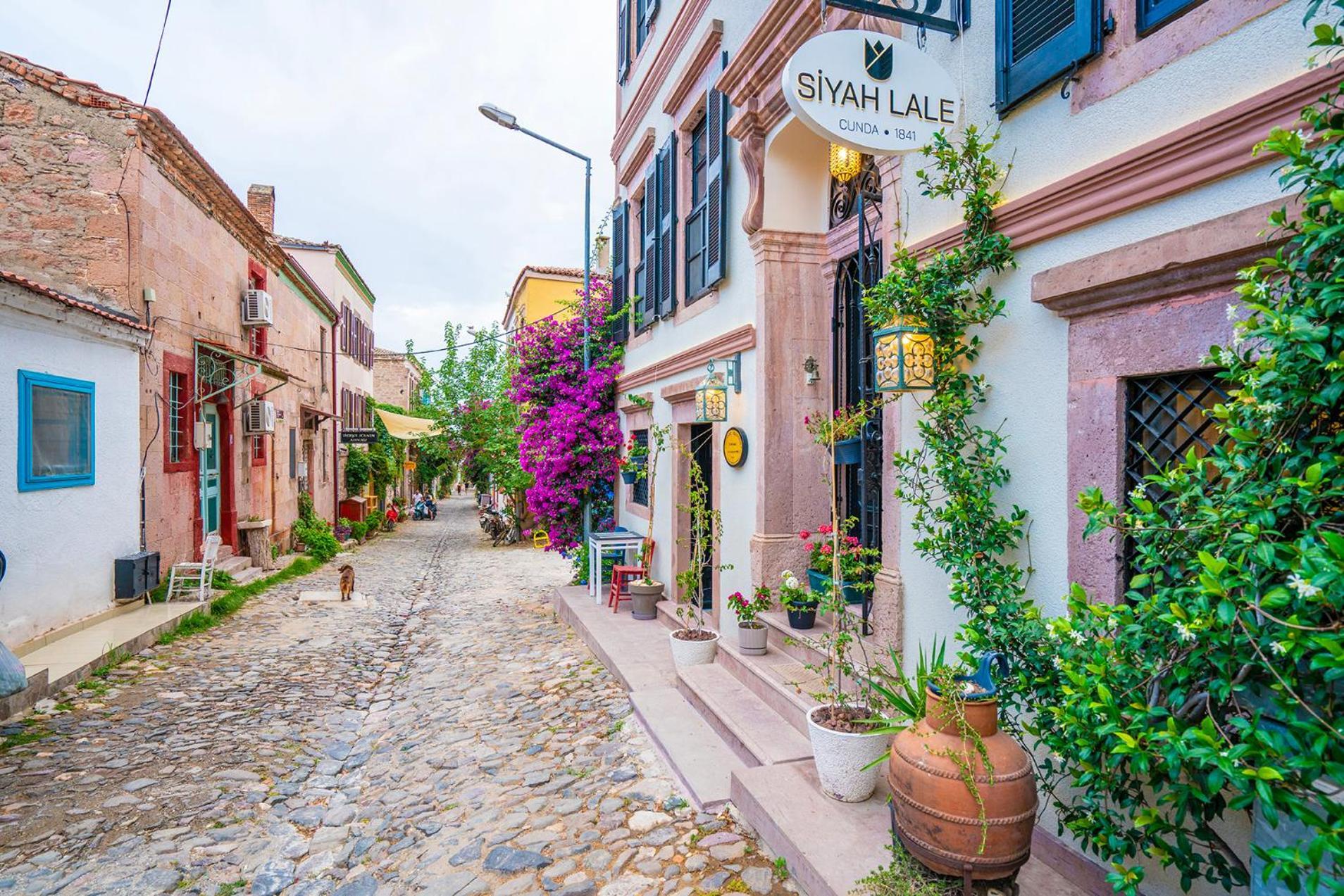 Siyah Lale Cunda 1841 (Adults Only) Hotel Ayvalı Eksteriør billede
