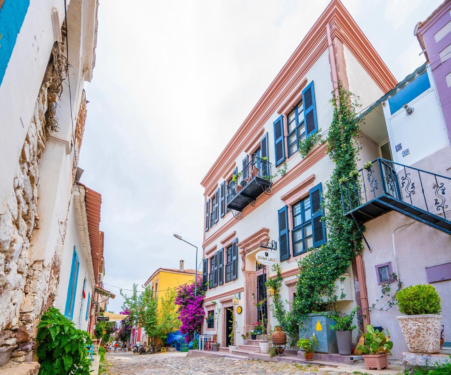 Siyah Lale Cunda 1841 (Adults Only) Hotel Ayvalı Eksteriør billede